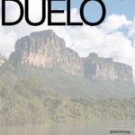 El Duelo y la Pérdida